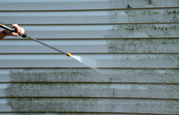 Best Driveway Pressure Washing  in Perham, MN